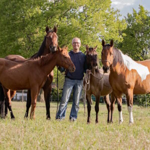 Körperorientierte Psychotherapie am Pferd -