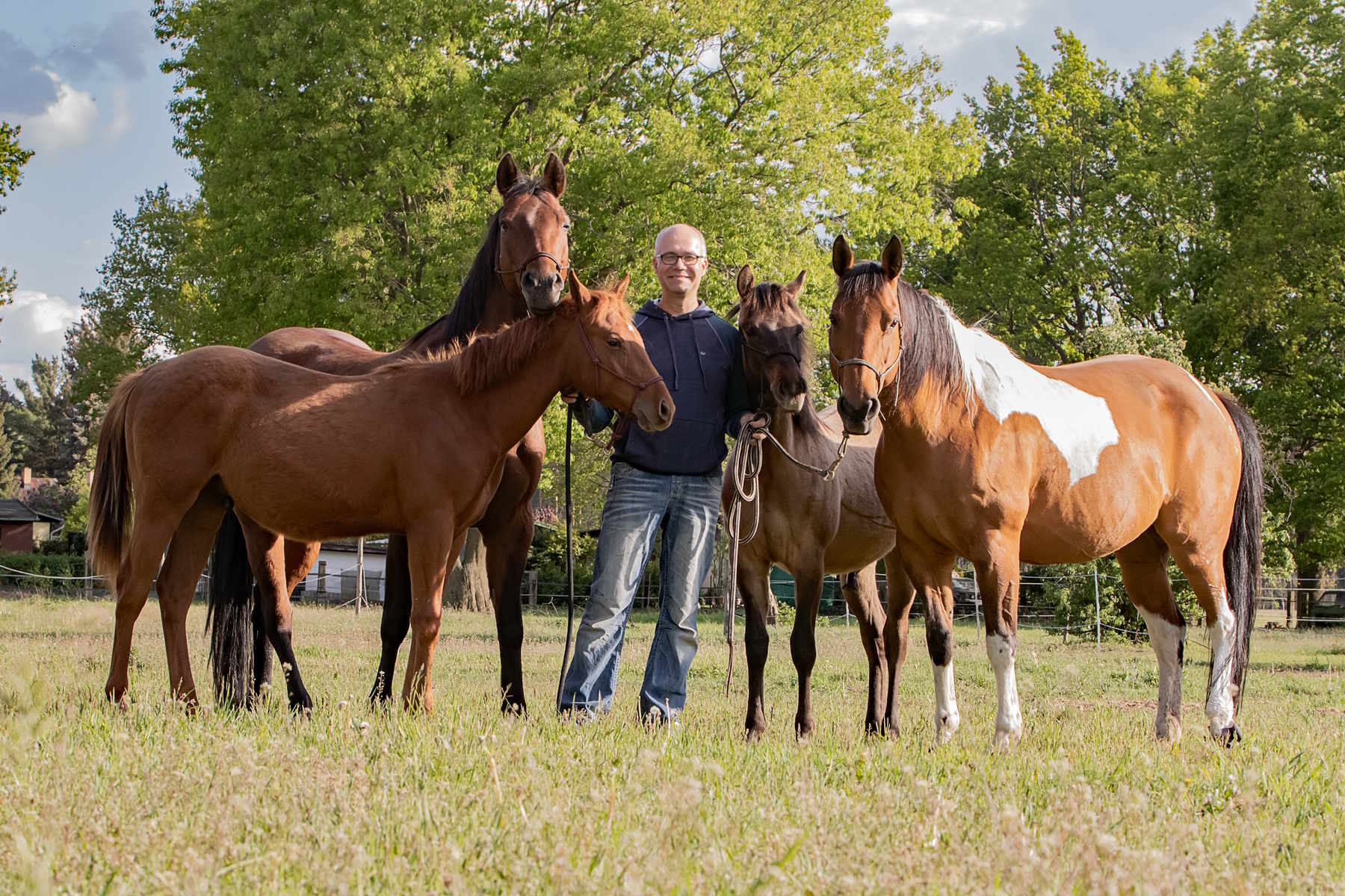 Körperorientierte Psychotherapie am Pferd -