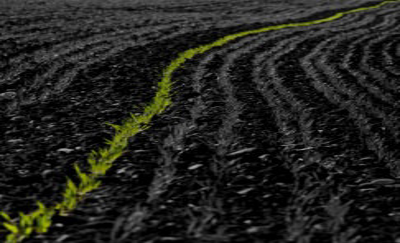 JL, „Green line II“, Some rights reserved