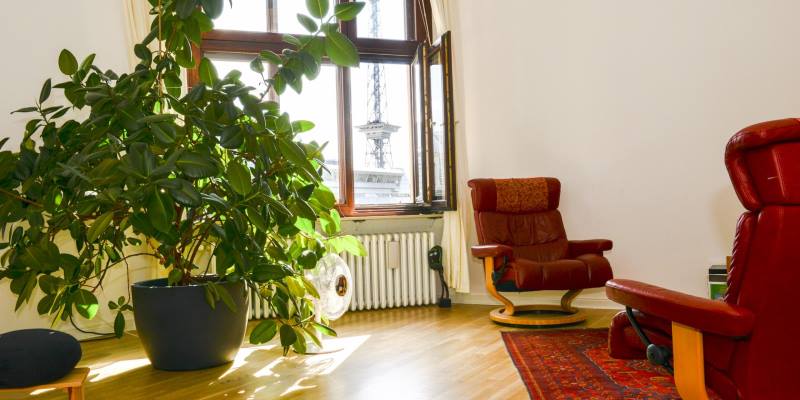 Psychotherapie & alternative Behandlungsmethoden